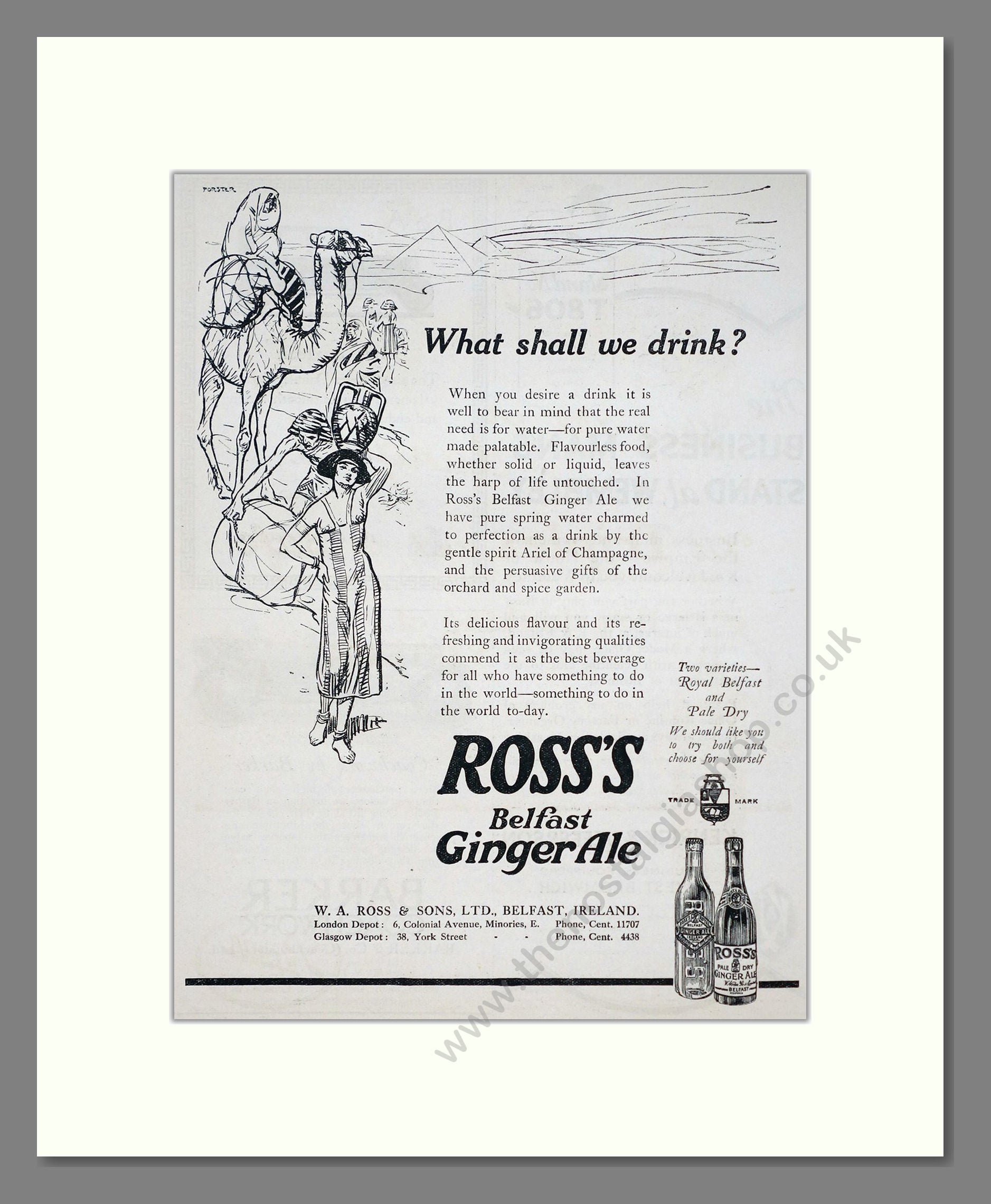 Ross's - Belfast Ginger Ale. Vintage Advert 1924 (ref AD67084)