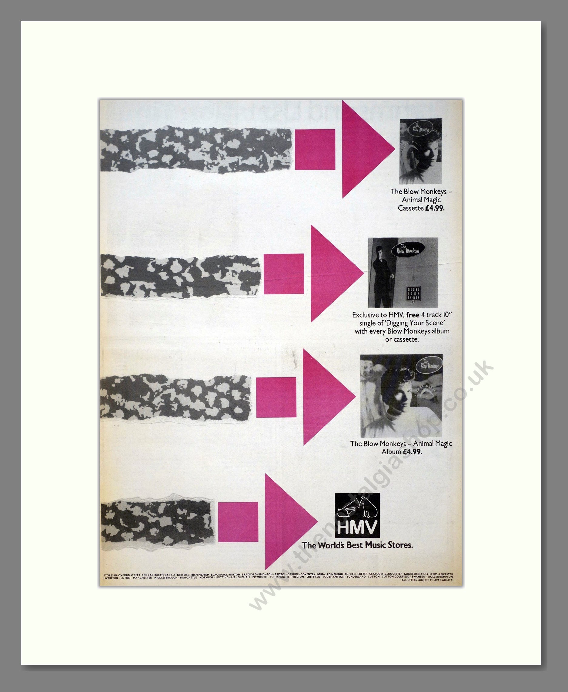 Blow Monkeys (The) - Animal Magic. Vintage Advert 1986 (ref AD21125)