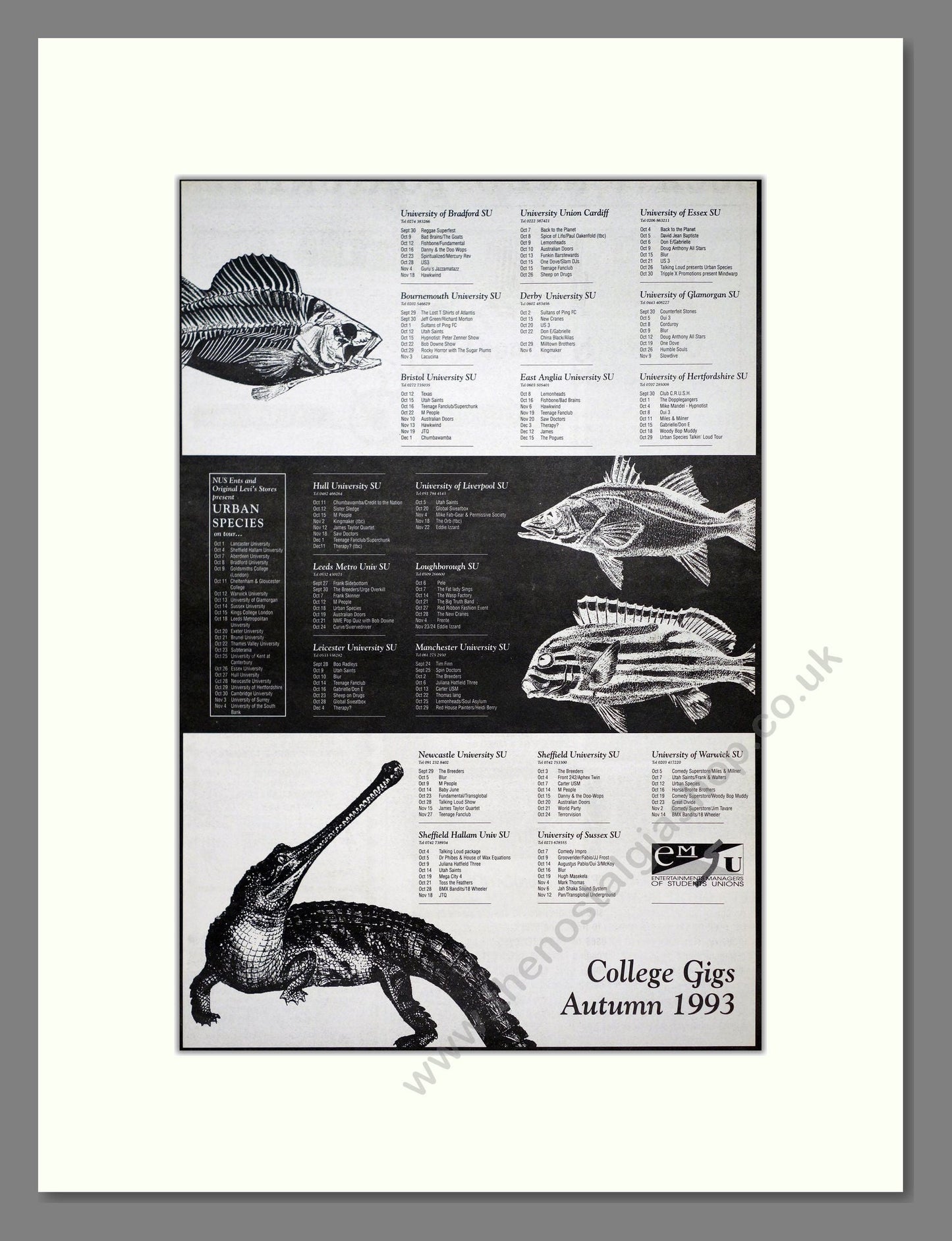 College Gigs 93 - Autumn 1993. Vintage Advert 1993 (ref AD21178)