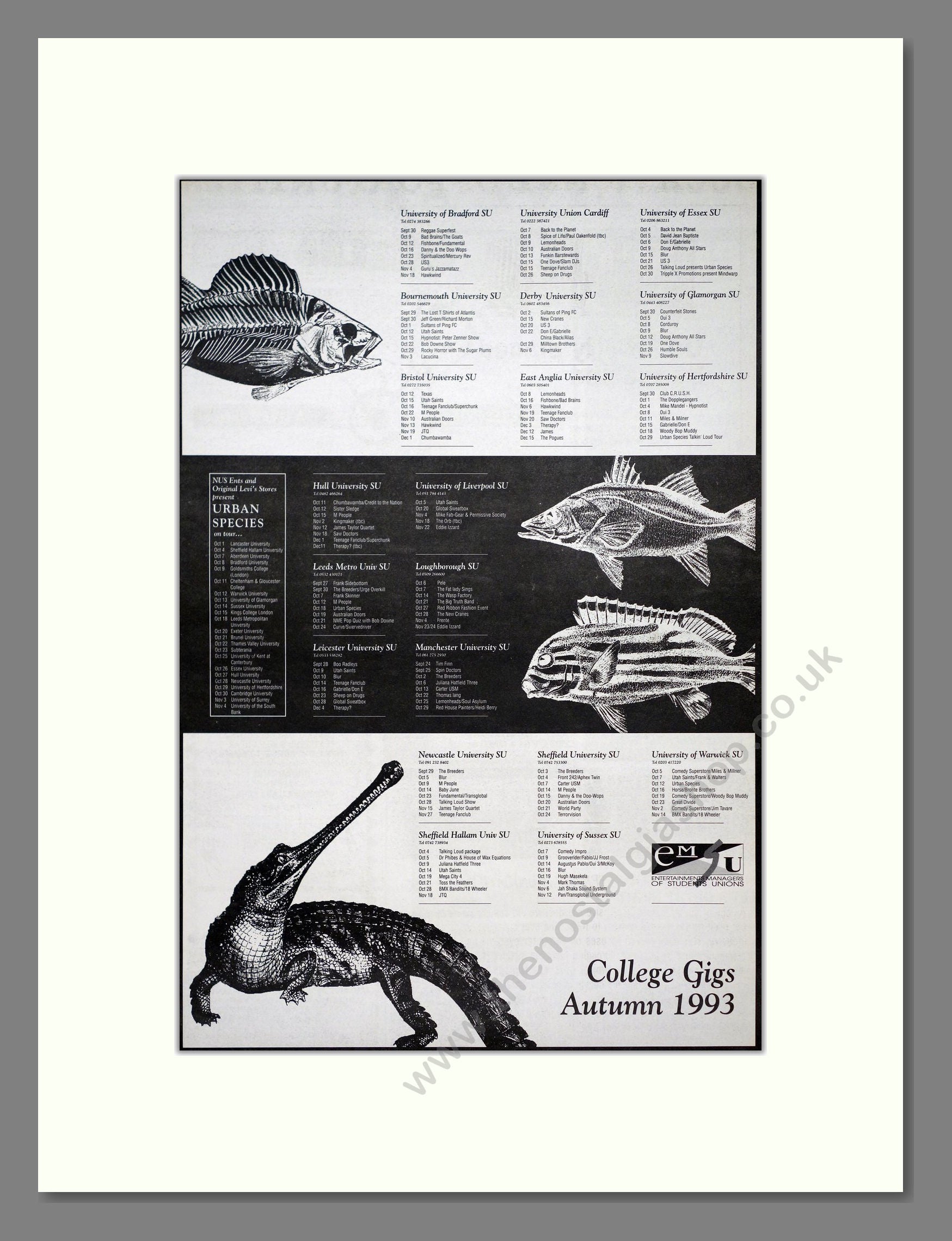 College Gigs 93 - Autumn 1993. Vintage Advert 1993 (ref AD21178)