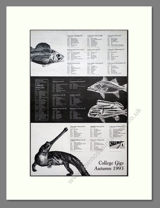 College Gigs 93 - Autumn 1993. Vintage Advert 1993 (ref AD21178)