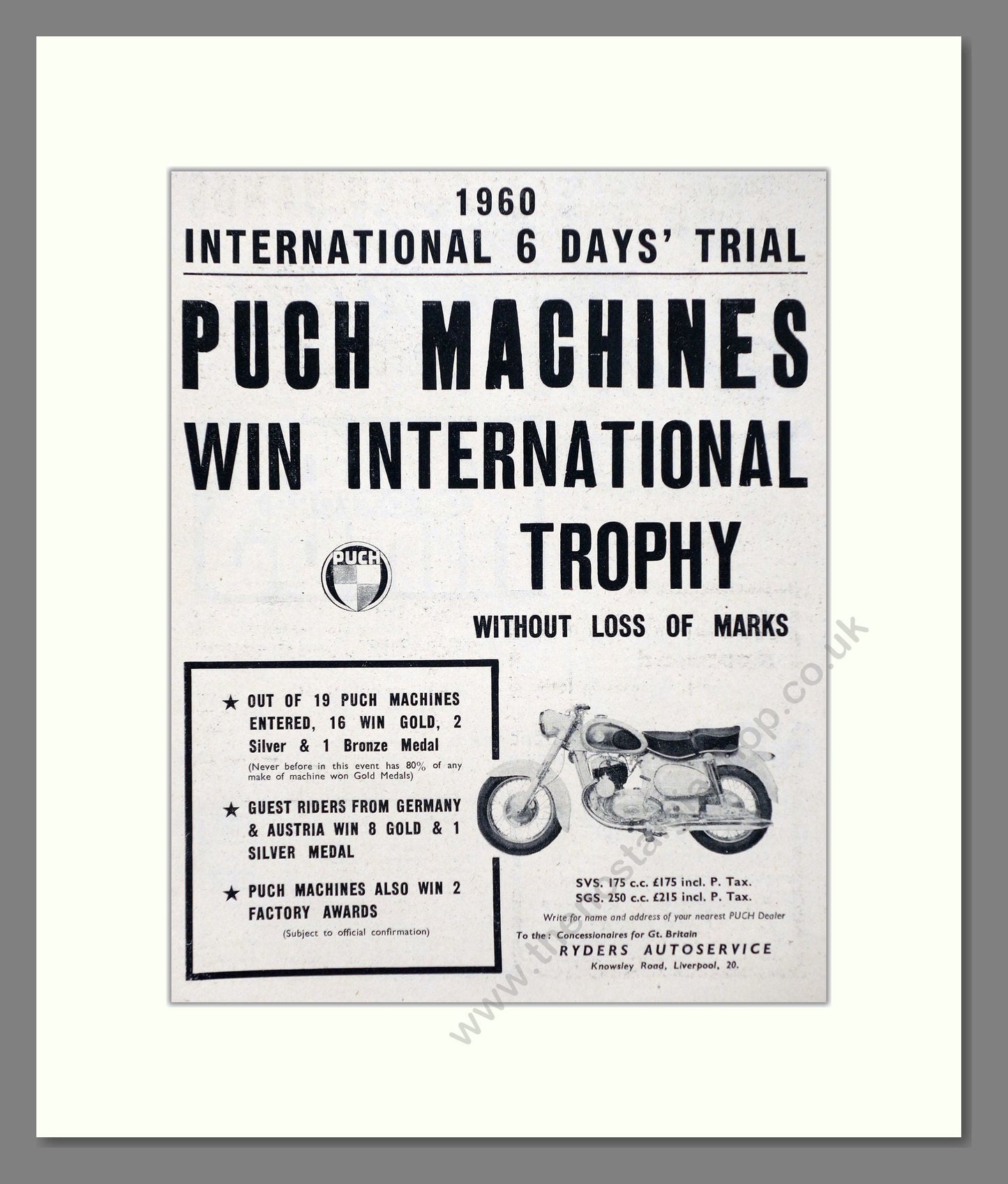 Puch - International 6 Day Trial Winner. Vintage Advert 1960 (ref AD67379)