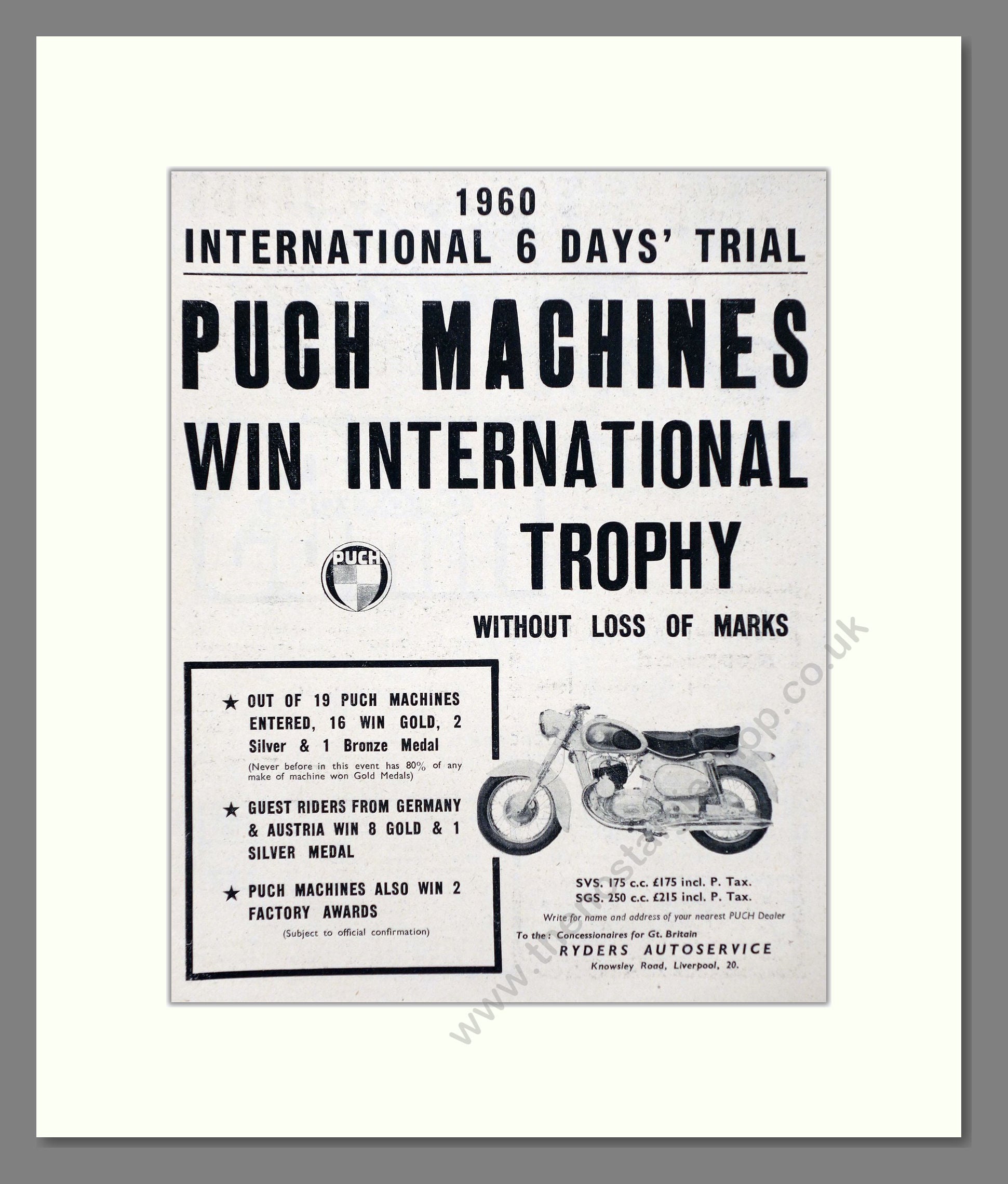 Puch - International 6 Day Trial Winner. Vintage Advert 1960 (ref AD67379)