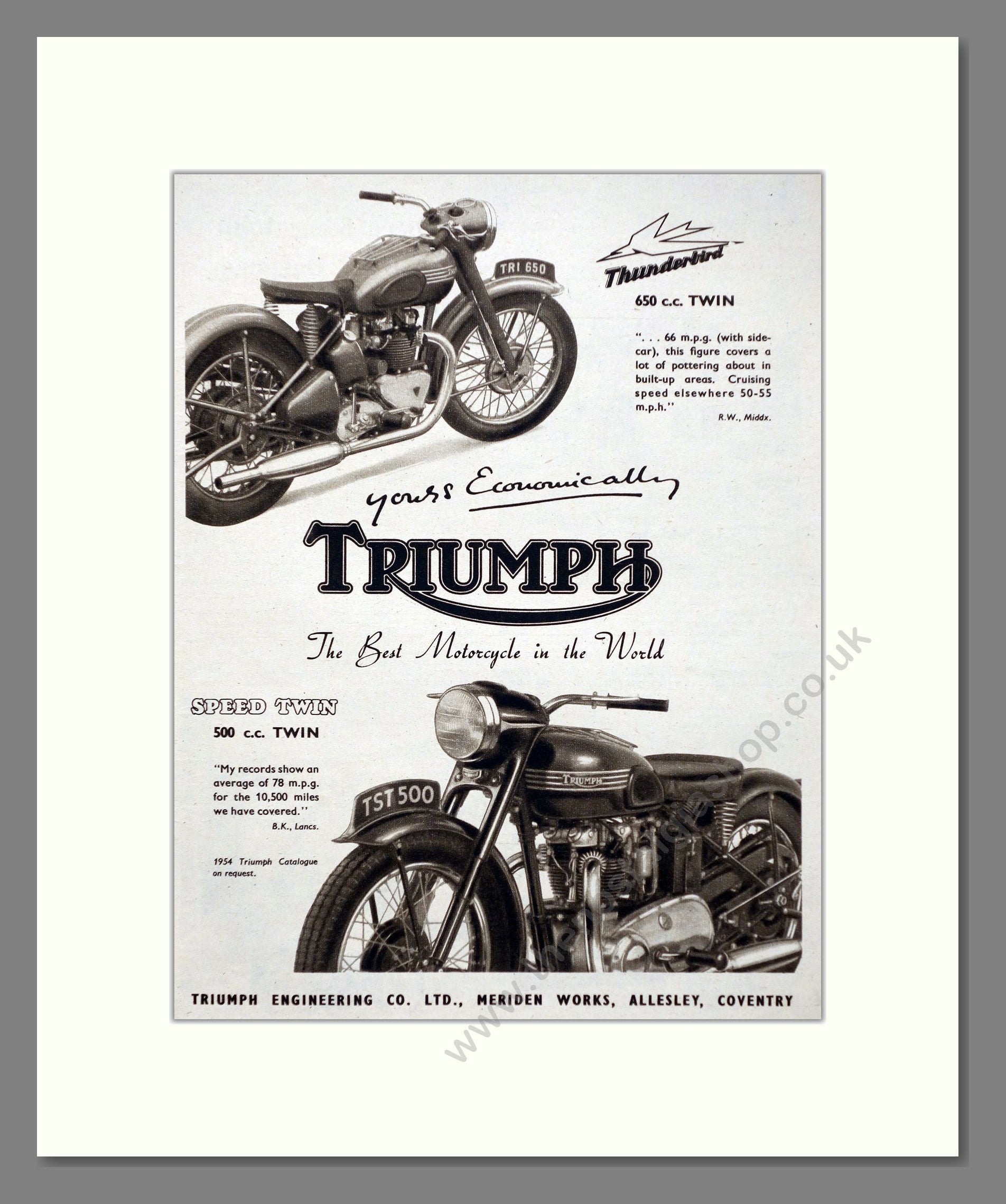 Triumph - Thunderbird / Speed Twin. Vintage Advert 1954 (ref AD67435)