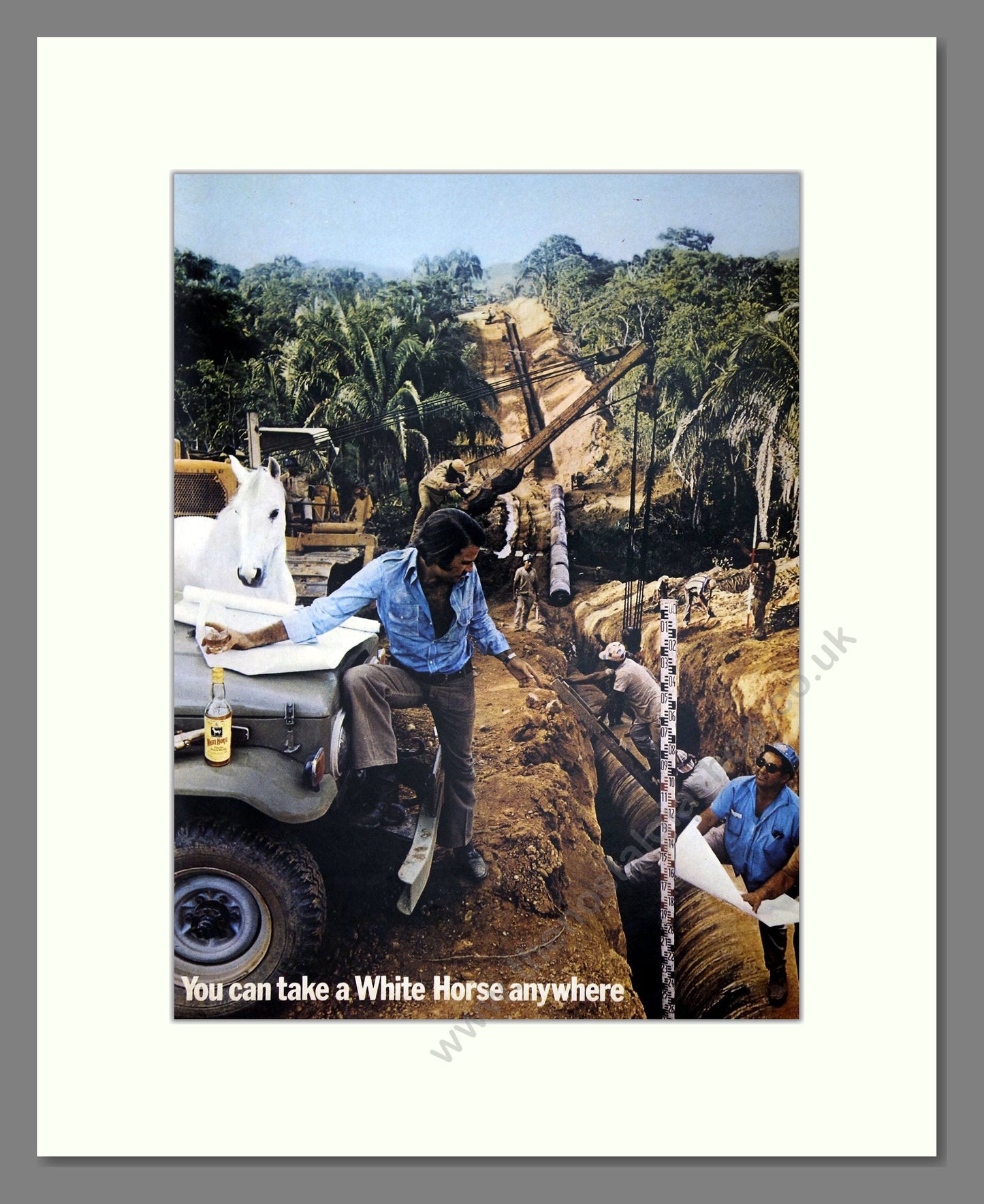 White Horse - Scotch Whisky. Vintage Advert 1973 (ref AD67611)