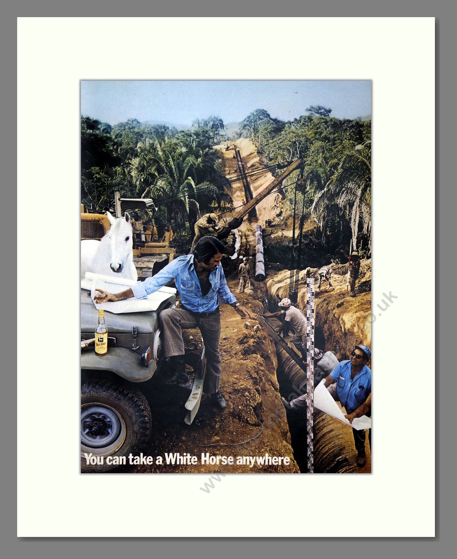 White Horse - Scotch Whisky. Vintage Advert 1973 (ref AD67611)