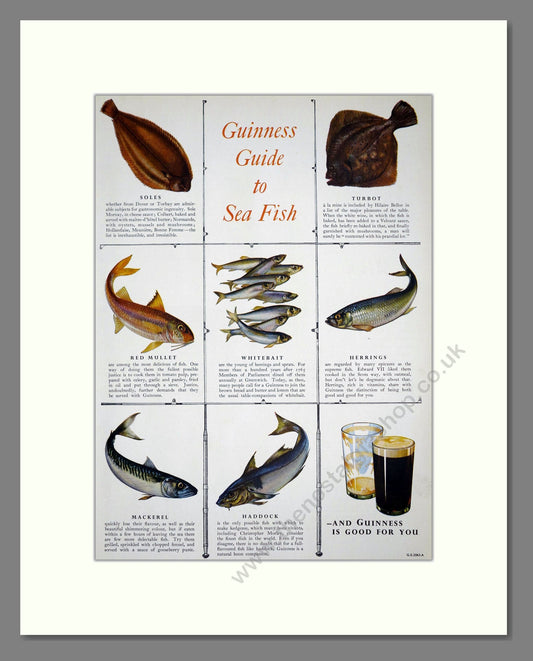 Guinness - Stout. Vintage Advert 1953 (ref AD67712)