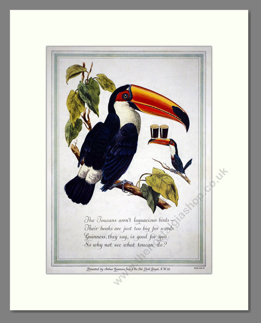 Guinness - Toucan. Vintage Advert 1952 (ref AD67954)