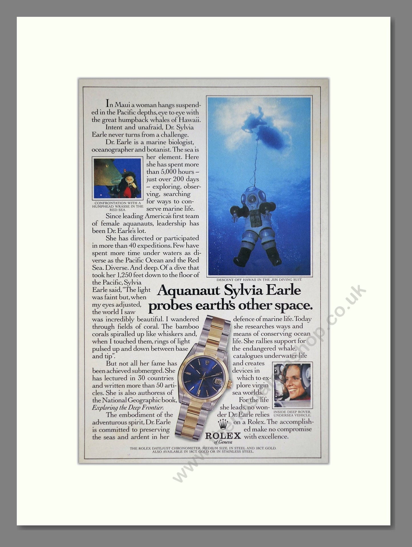 Rolex - Datejust Chronometer. Vintage Advert 1986 (ref AD67978)