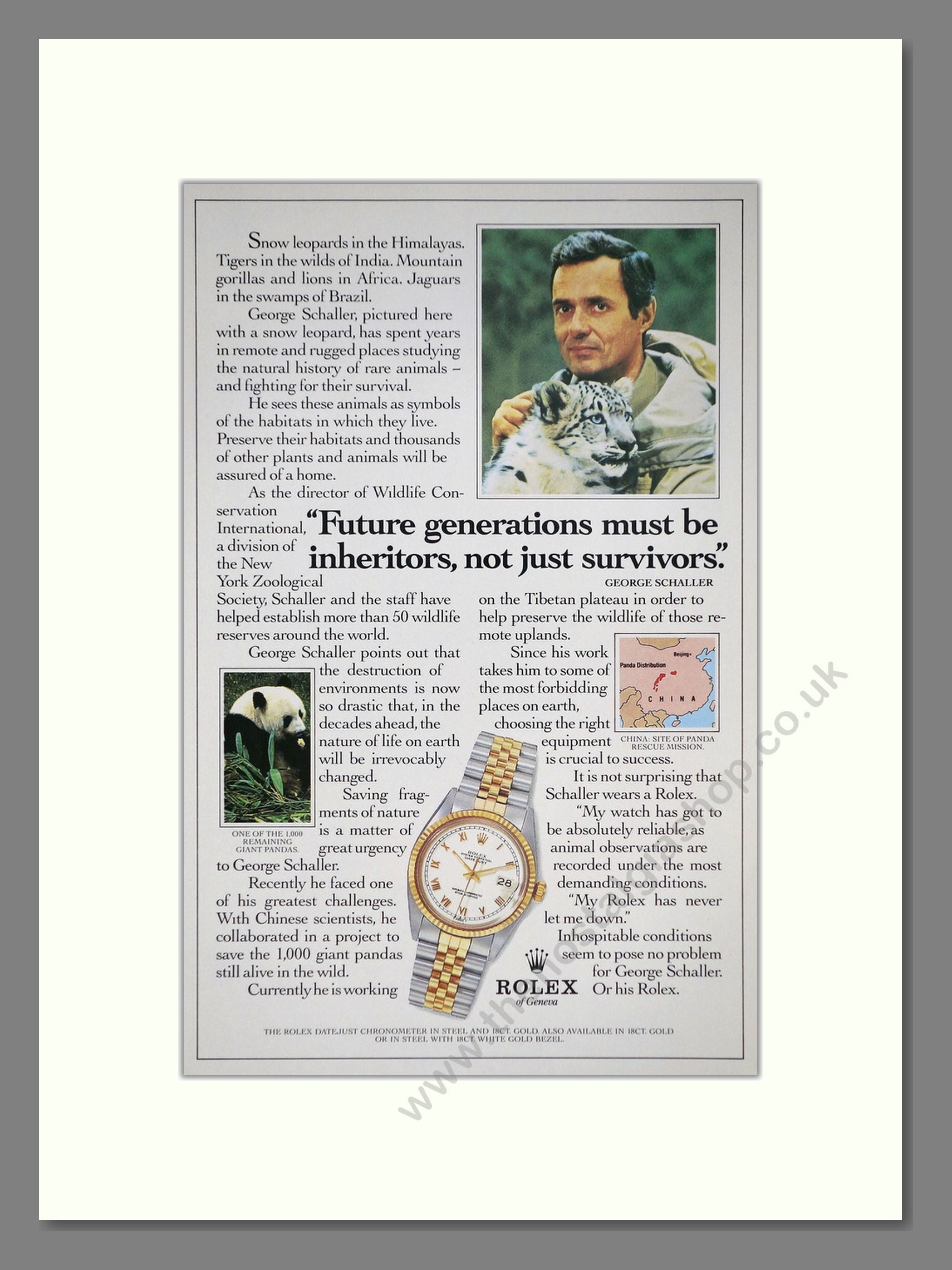 Rolex - Datejust Chronometer. Vintage Advert 1986 (ref AD67983)