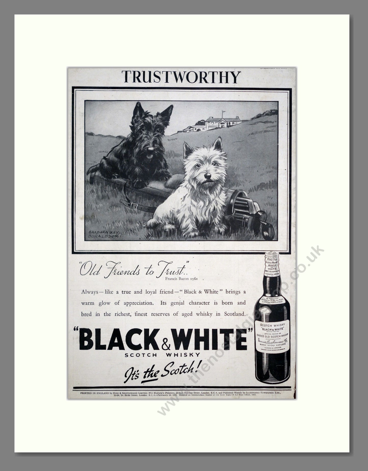 Black & White Scotch Whisky. Original Advert 1938 (ref AD303761)
