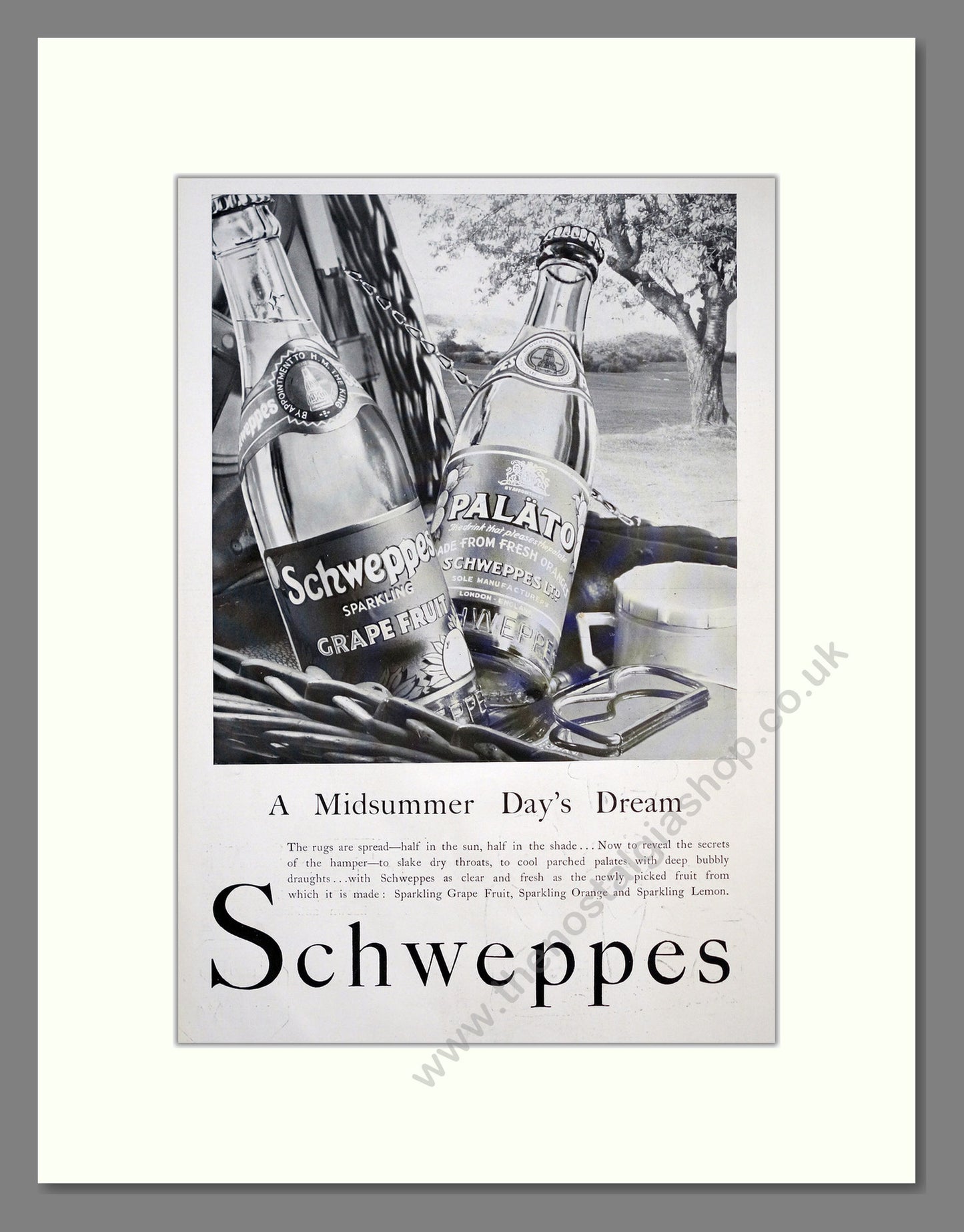 Schweppes Tonic Water. Original Advert 1934 (ref AD303825)