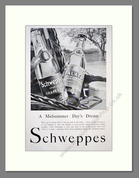 Schweppes Tonic Water. Original Advert 1934 (ref AD303825)