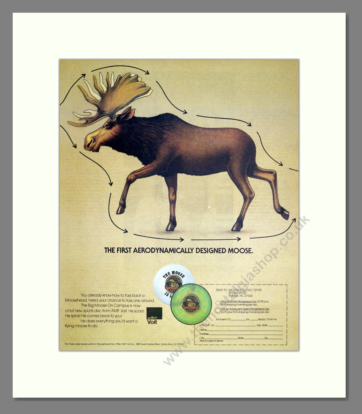 AMF Voit Sports Disc. Vintage Advert 1983 (ref AD304031)