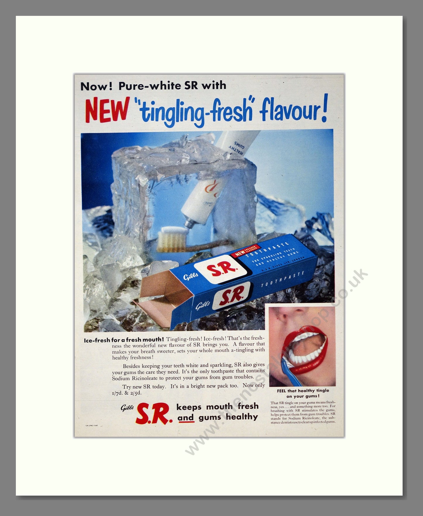 Gibbs S.R. Toothpaste. Original Advert 1953 (ref AD303962)