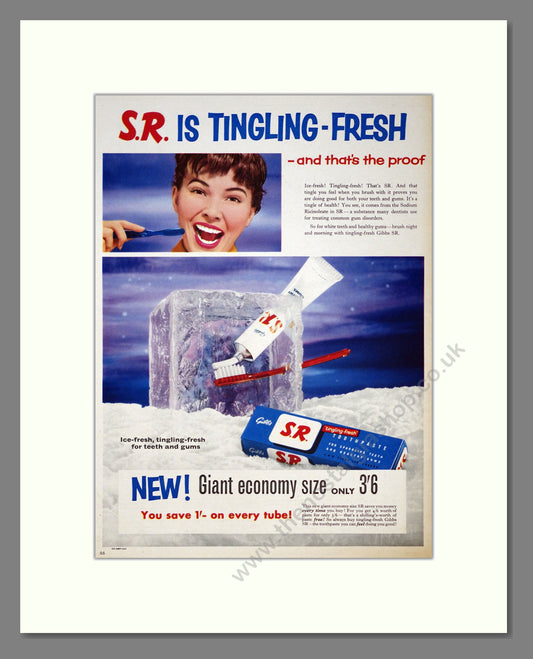 Gibbs S.R. Toothpaste. Original Advert 1956 (ref AD303966)