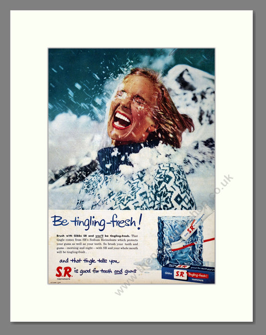 Gibbs S.R. Toothpaste. Original Advert 1958 (ref AD303968)