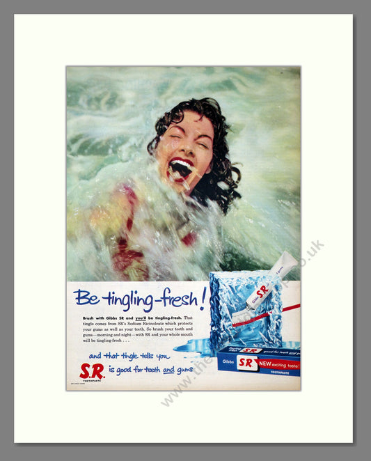 Gibbs S.R. Toothpaste. Original Advert 1958 (ref AD303969)