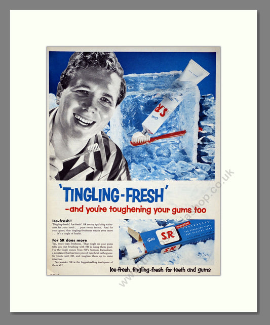 Gibbs S.R. Toothpaste. Original Advert 1955 (ref AD303972)