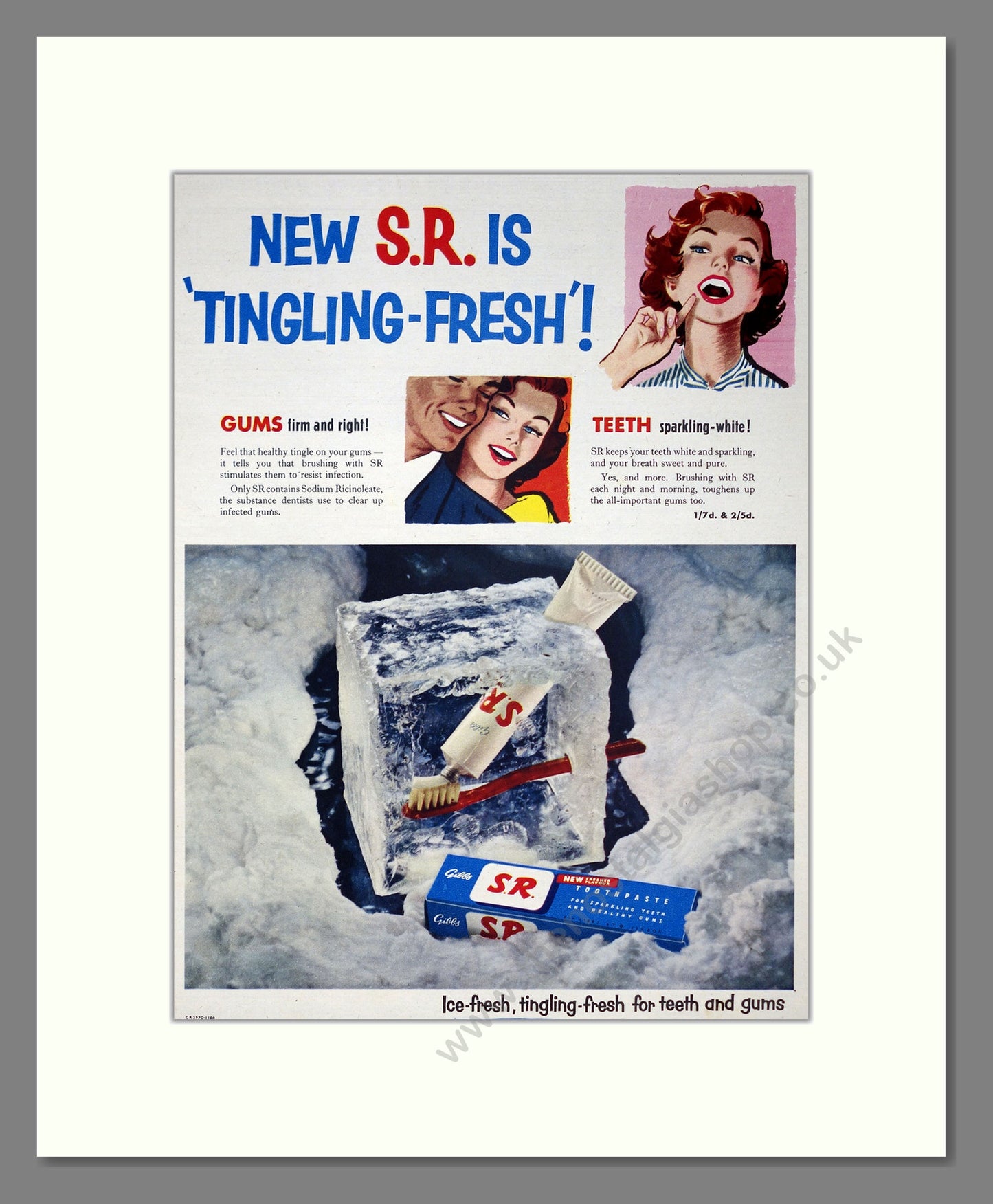 Gibbs S.R. Toothpaste. Original Advert 1954 (ref AD303976)