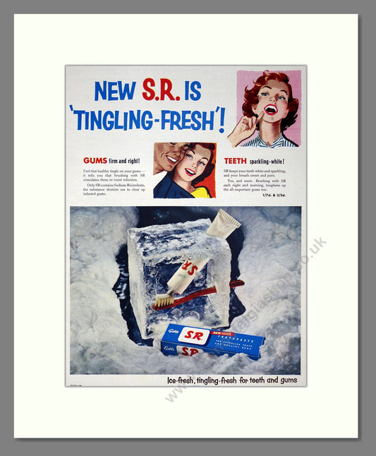 Gibbs S.R. Toothpaste. Original Advert 1954 (ref AD303976)