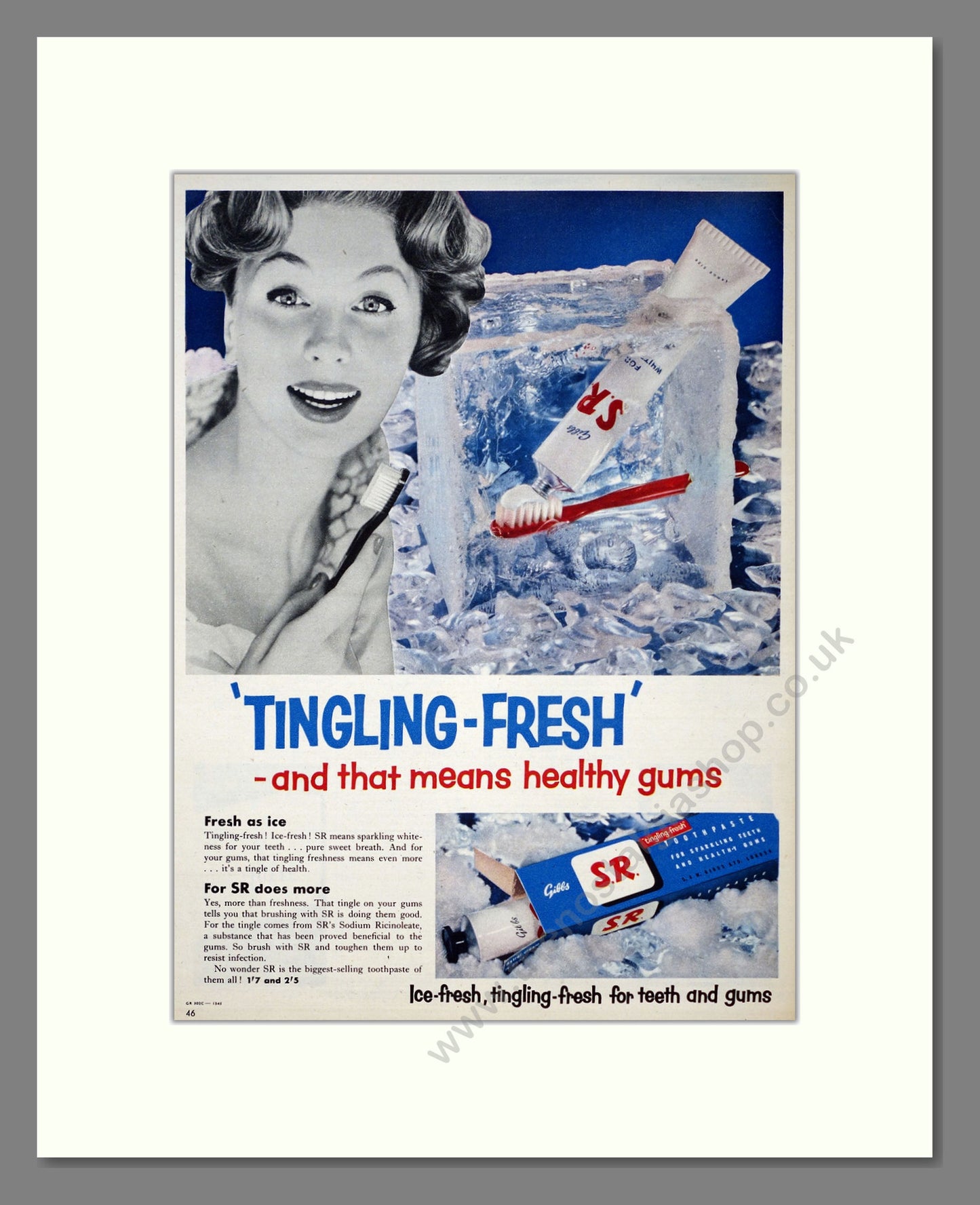 Gibbs S.R. Toothpaste. Original Advert 1955 (ref AD303979)