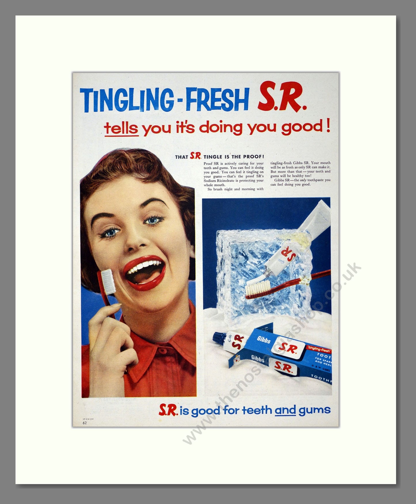 Gibbs S.R. Toothpaste. Original Advert 1957 (ref AD303981)