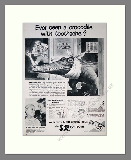 Gibbs S.R. Toothpaste. Original Advert 1953 (ref AD303984)