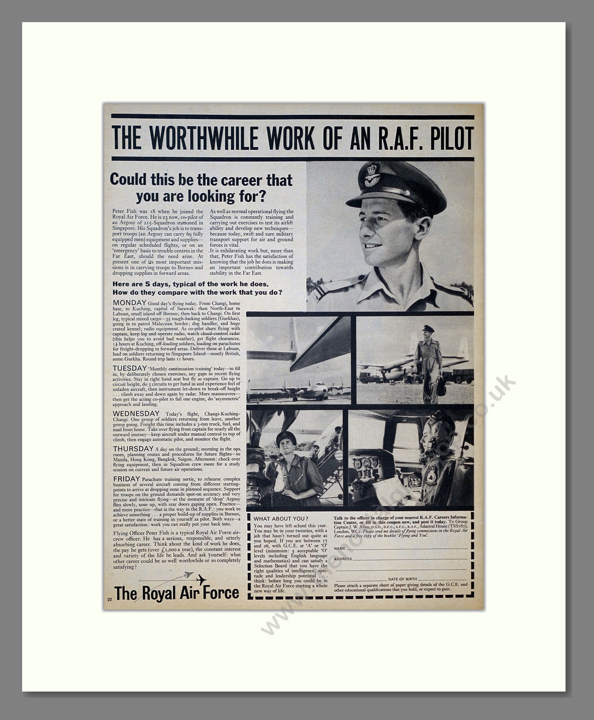 Royal Air Force Pilot. Original Advert 1964 (ref AD303992)