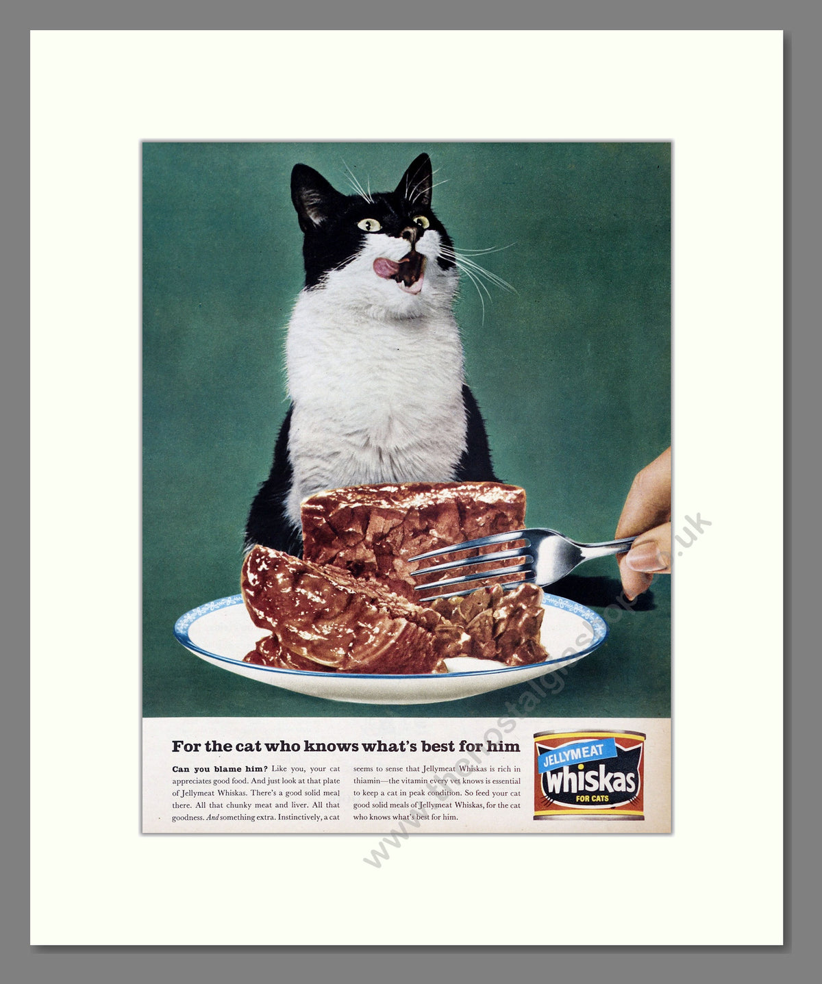 Whiskas Jellymeat. Vintage Advert 1964 (ref AD304006)