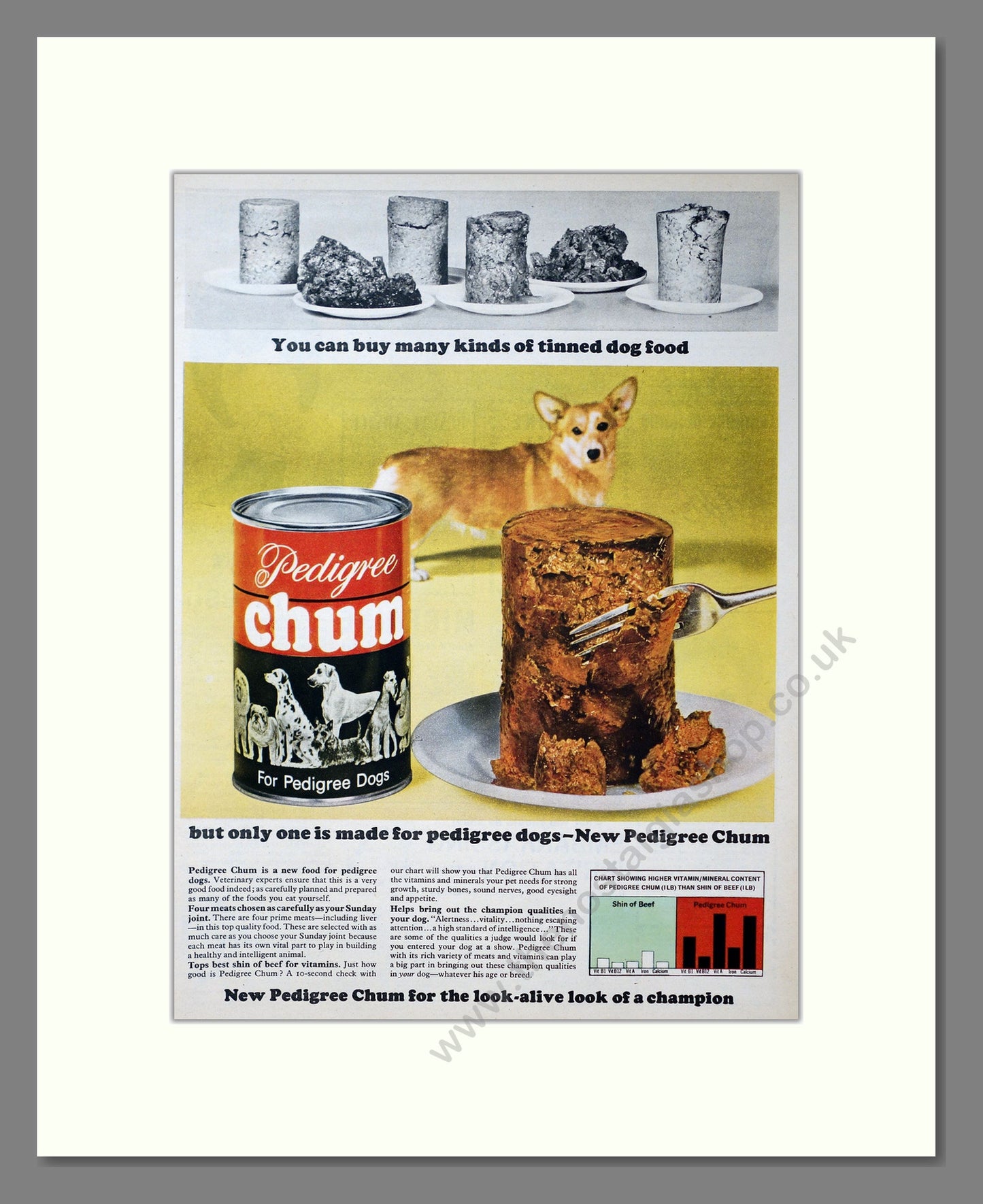 Pedigree Chum. Vintage Advert 1964 (ref AD304007)