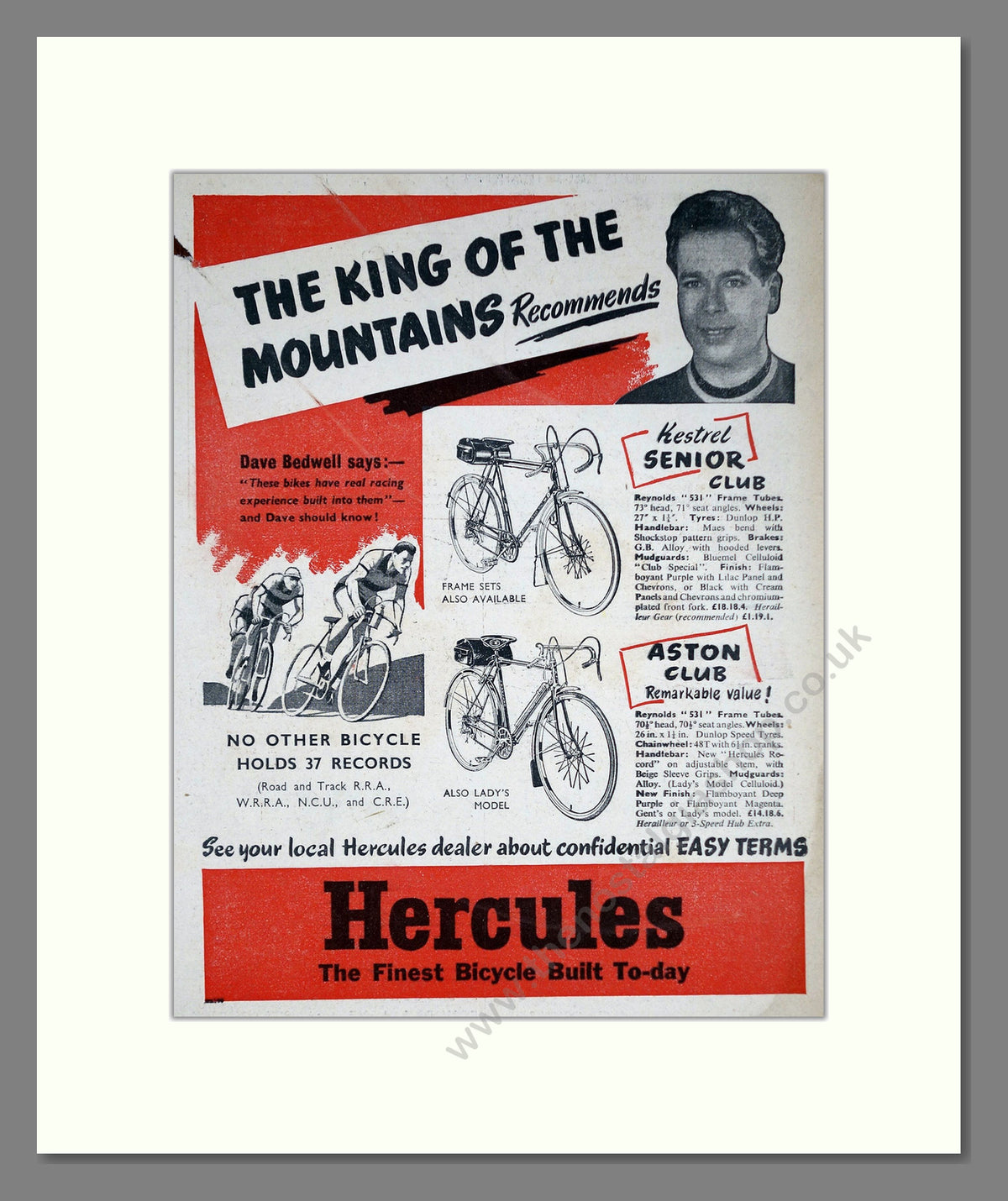 Hercules Cycles, with David Bedwell. Original Advert 1954 (ref AD68925)