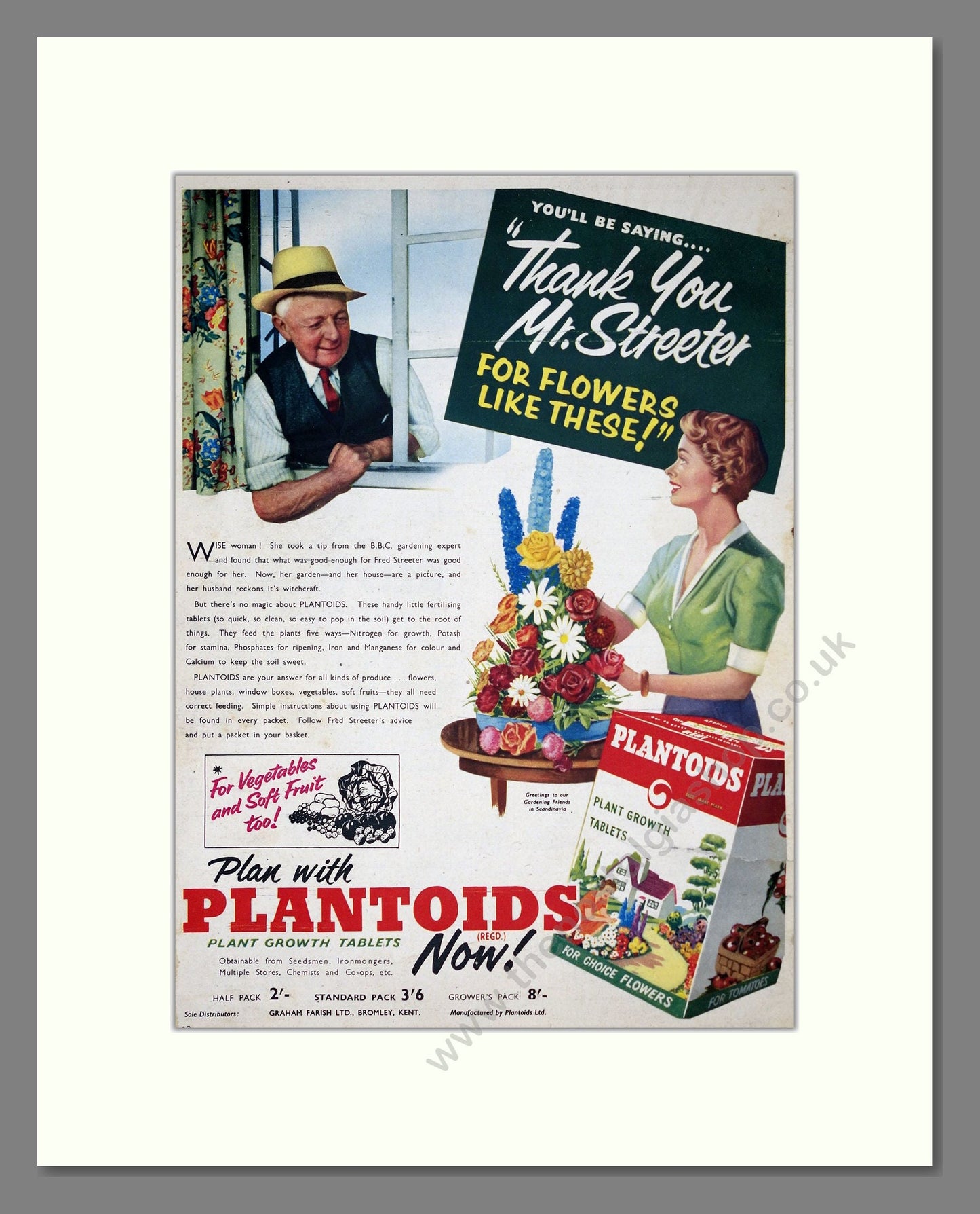 Plantoids - Plant Growth Tablets. Vintage Advert 1955 (ref AD303683)