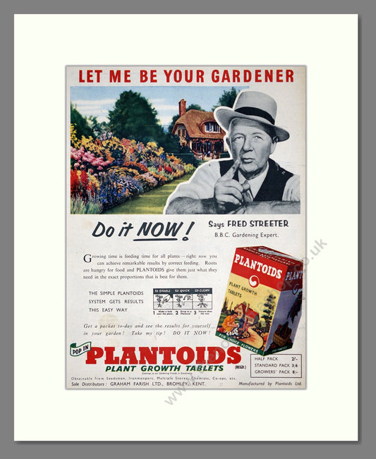 Plantoids - Plant Growth Tablets. Vintage Advert 1955 (ref AD303684)