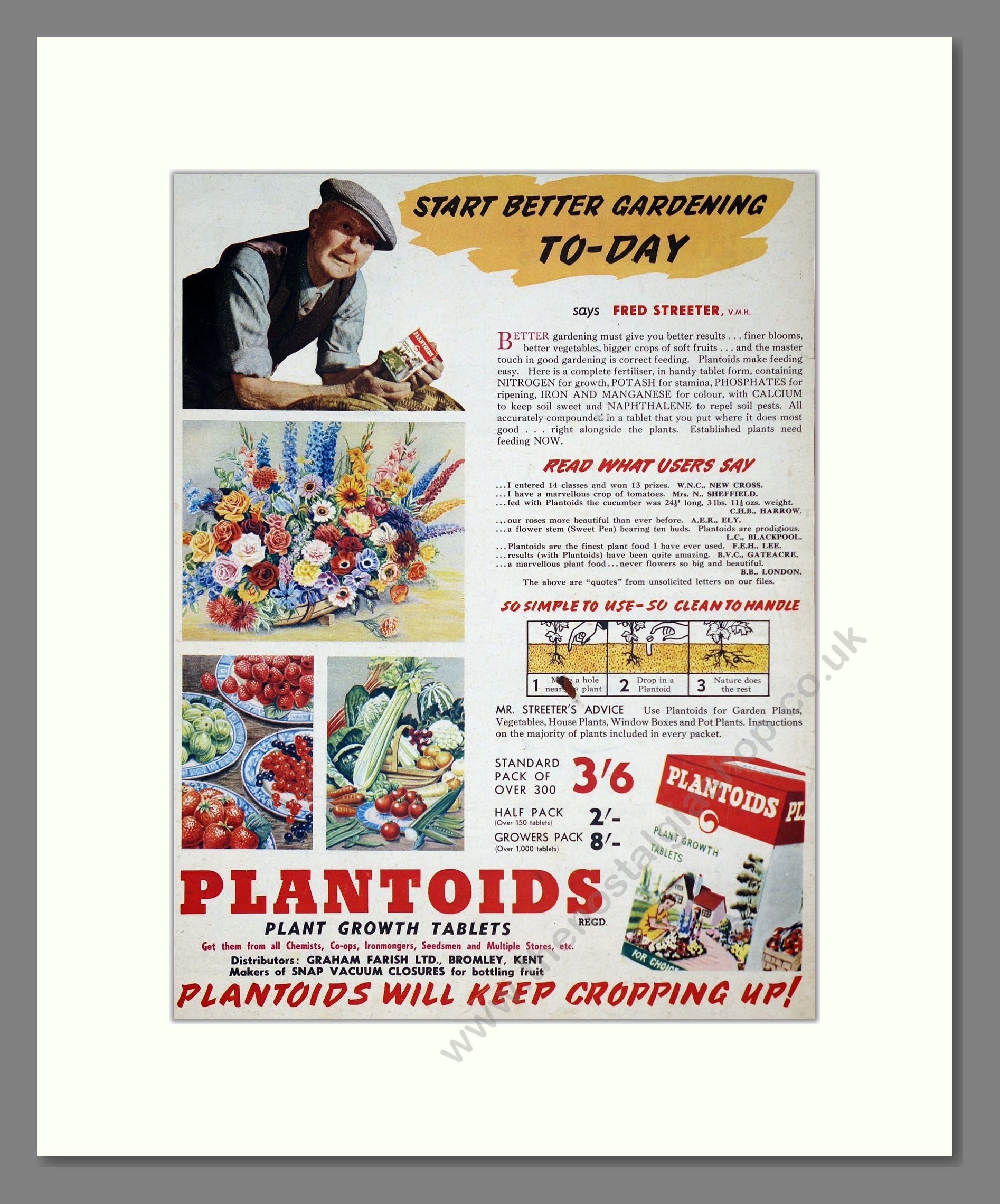 Plantoids - Plant Growth Tablets. Vintage Advert 1954 (ref AD303686)