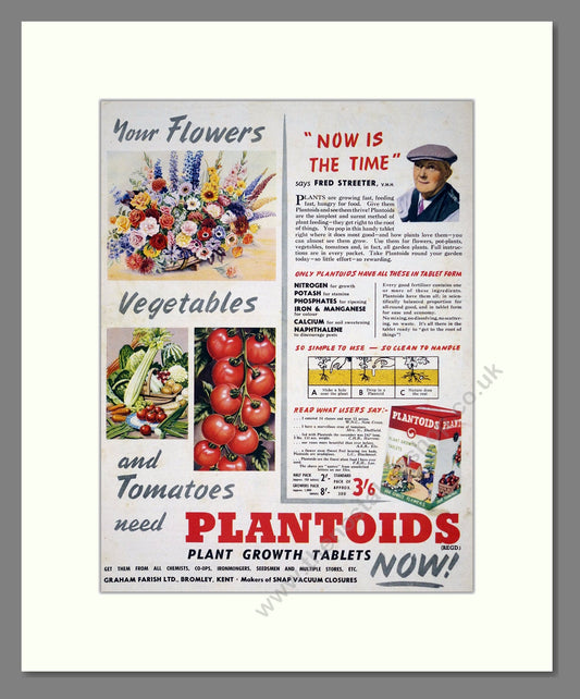 Plantoids - Plant Growth Tablets. Vintage Advert 1954 (ref AD303688)