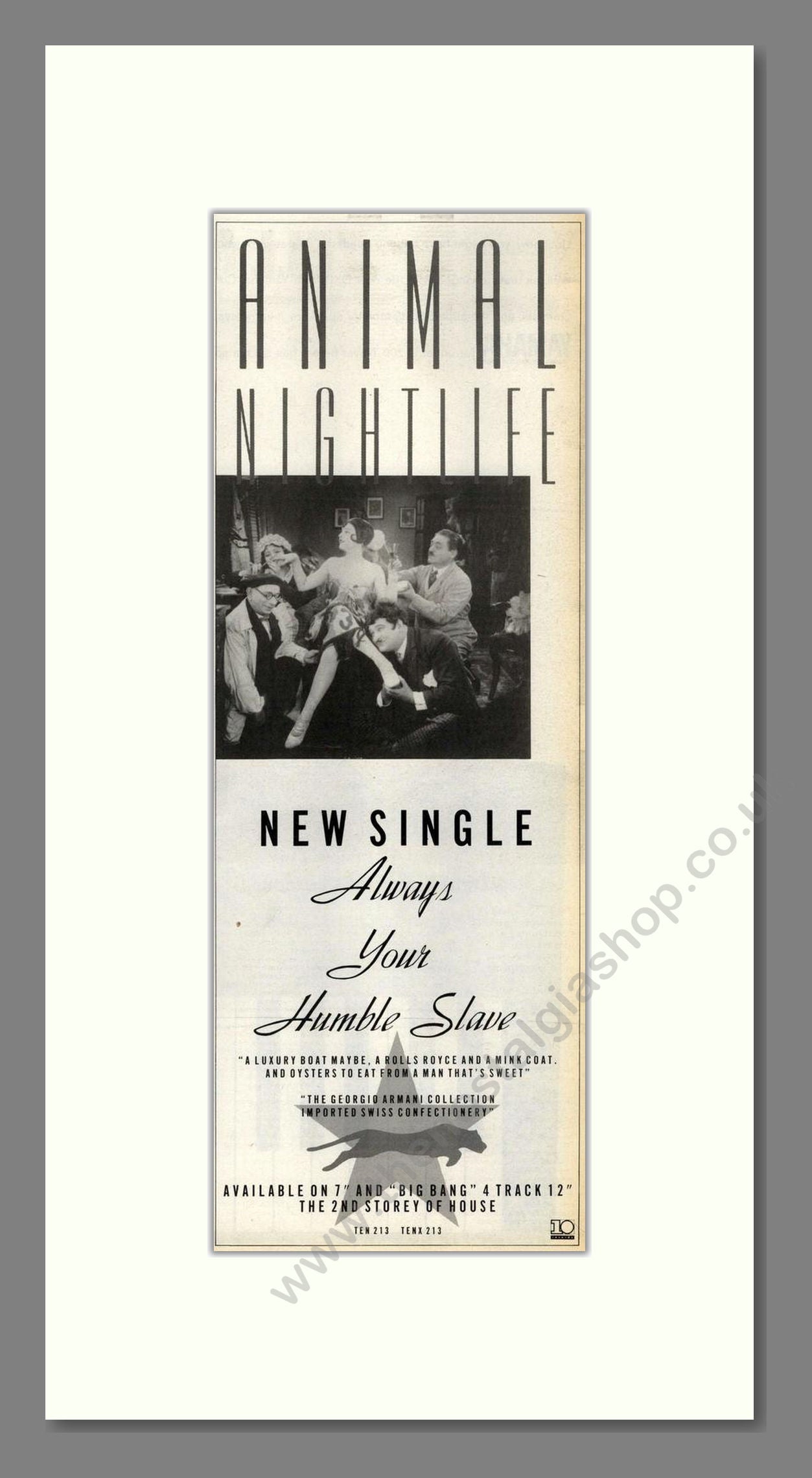 Animal Nightlife - Always Your Humble Slave. Vintage Advert 1988 (ref AD201628)