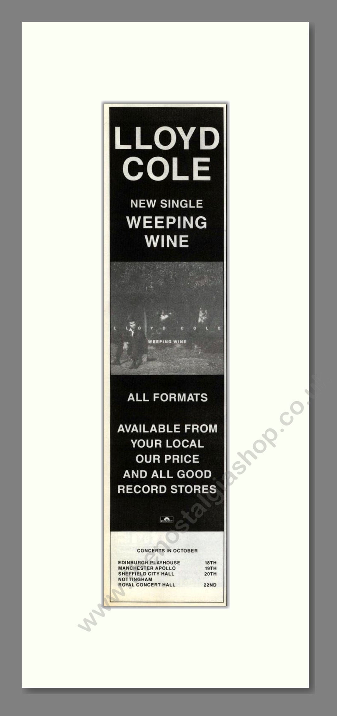 Lloyd Cole - Weeping Wine. Vintage Advert 1991 (ref AD201689)