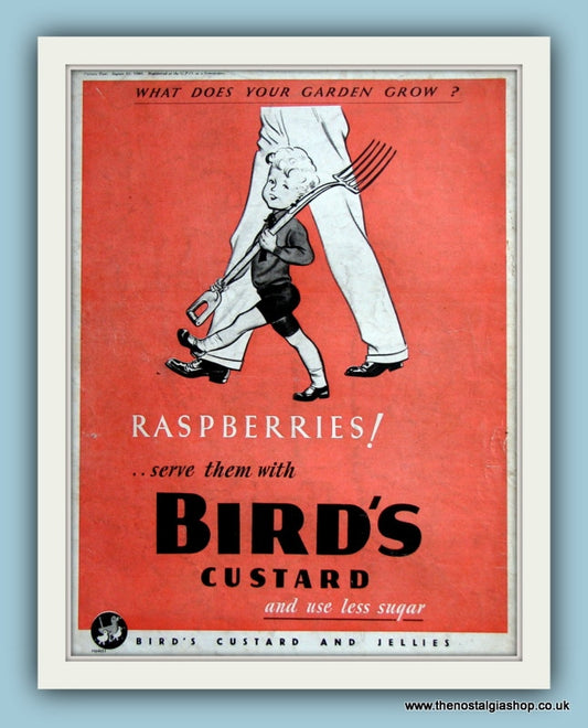 Birds Custard. Original Advert 1940 (ref AD8028)