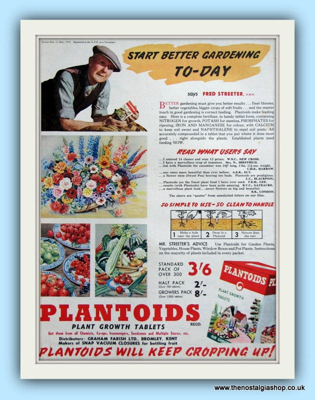 Plantoids Plant Tablets. Original Advert 1954 (ref AD8019)