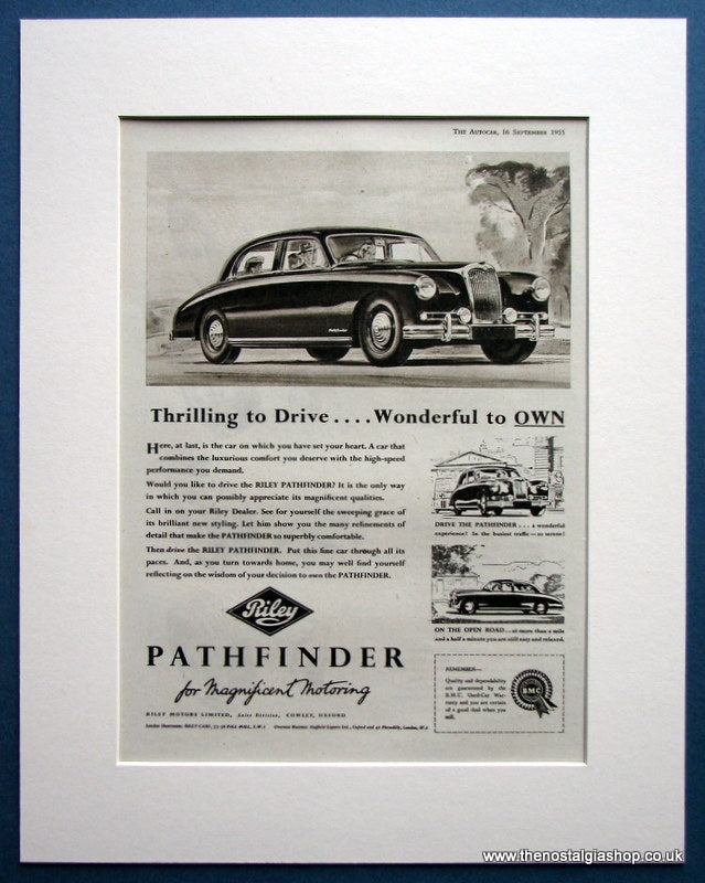 Riley Pathfinder 1955 Original Advert (ref AD1621)