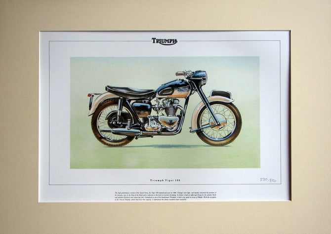 Triumph Tiger 100   Mounted print  Ltd Edition (ref PR2)