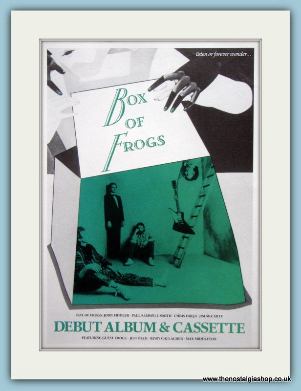 Box Of Frogs Listen Or Forever Wonder.. Original Music Advert 1984 (ref AD3391)