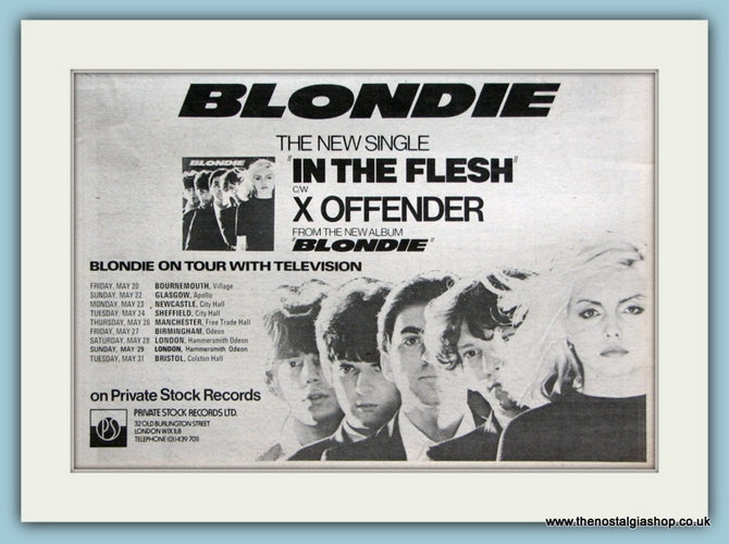 Blondie In The Flesh Original Advert 1977 (ref AD2096)