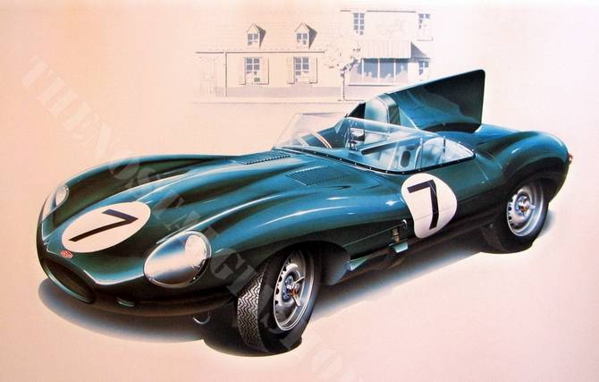 Jaguar D-Type 1956  large  print