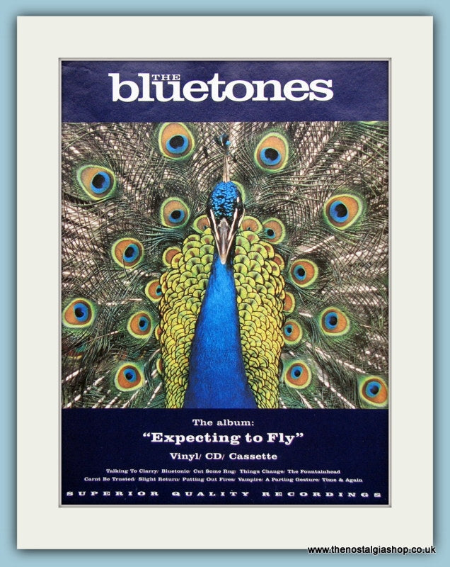 The Bluetones Expecting To Fly Original Music Advert 1996 (ref AD3392)