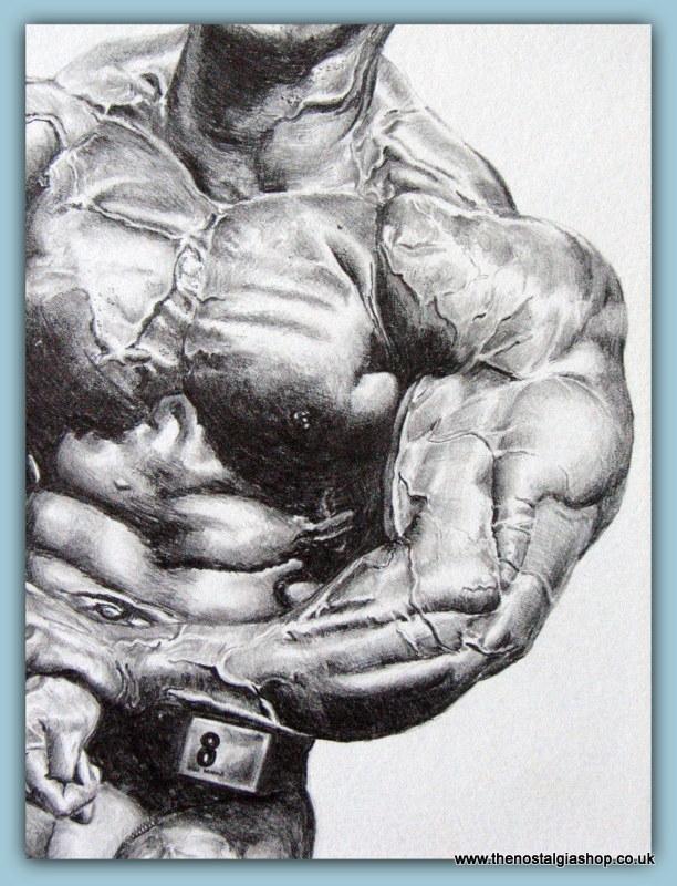 Kevin Levrone, Top IFBB Bodybuilder. Original Pencil Drawing.