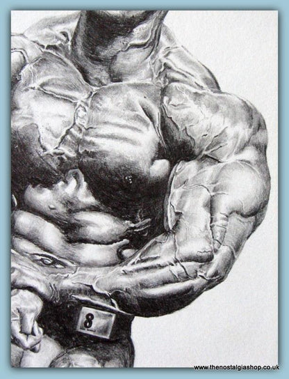 Kevin Levrone, Top IFBB Bodybuilder. Original Pencil Drawing.