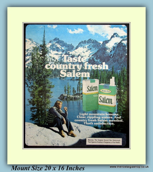 Salem Menthol Cigarettes Original Advert 1980 (ref AD9443)
