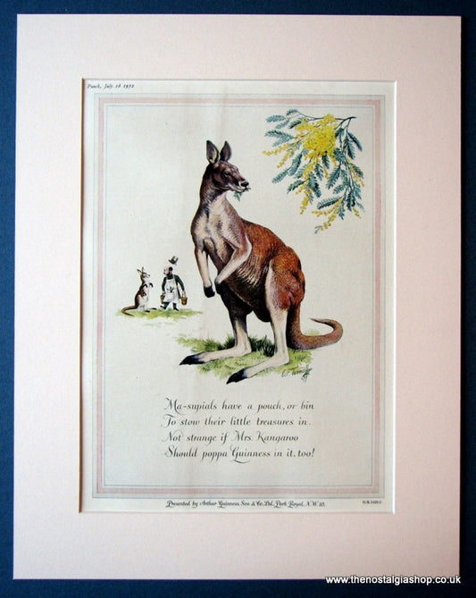 Guinness Kangaroo 1952 Original Advert (ref AD1149)